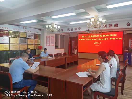 徽大姐集团召开学习贯彻落实安徽省《放心家政行动方案》动员大会